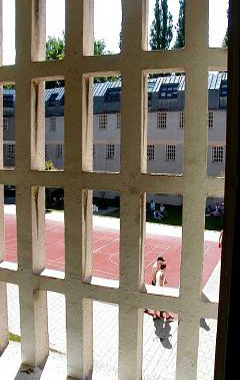 Ein Blick aus dem Fenster Ein Blick aus dem Fenster